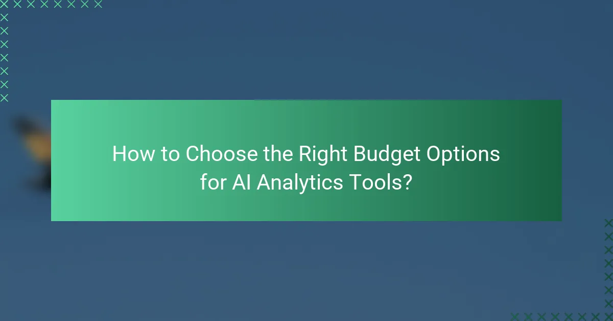How to Choose the Right Budget Options for AI Analytics Tools?